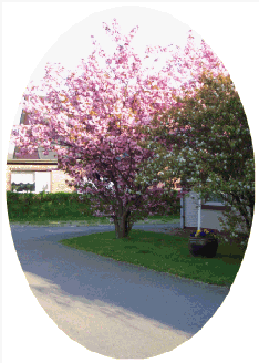 Alles bl�ht und gr�nt
