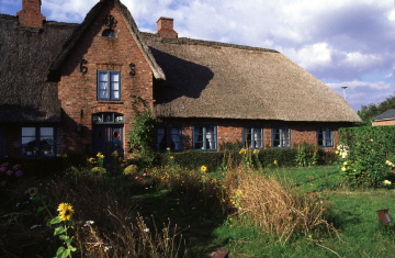 Reetdachhaus G S web
